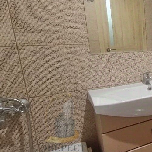 1-комн квартира Пушкино, улица Чехова, 1к3