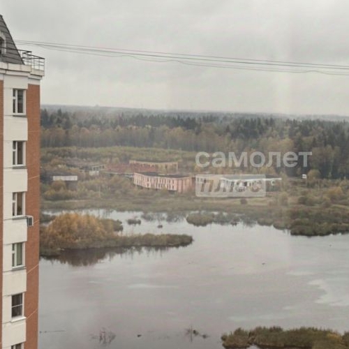 3-комн квартира Школьный мкр, д. Брехово,  д. к7