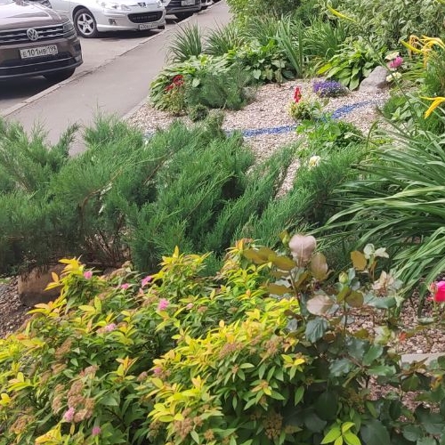 Студия Старая Купавна, улица Октябрьская, 14А