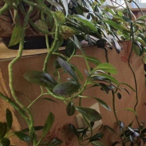 1-комн квартира Октябрьский пгт, улица Спортивная, 2