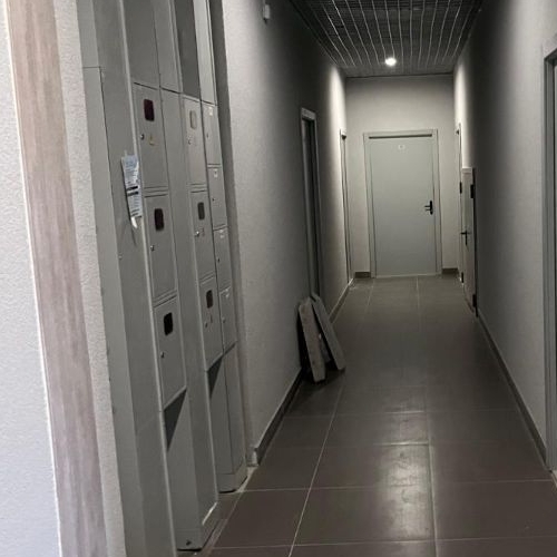 1-комн квартира Раменское, улица Березовая Роща, 7