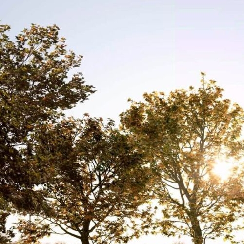 1-комн квартира Новоостаповская улица, 20