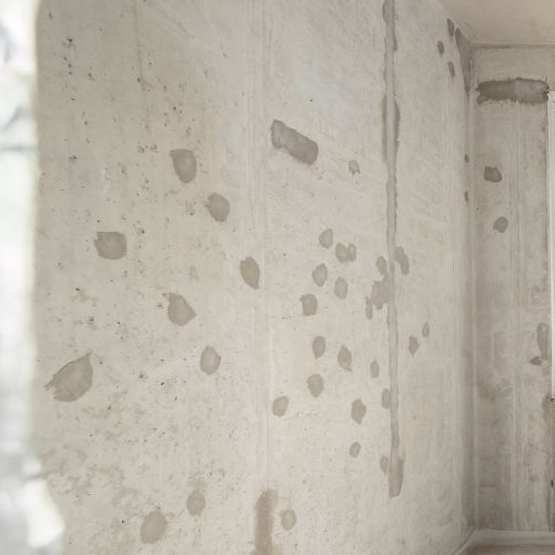 Студия Березовая аллея, 19к6