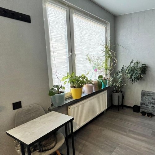 2-комн квартира Сампо ЖК, д. Красный Поселок, улица Фадеева,  д. 16