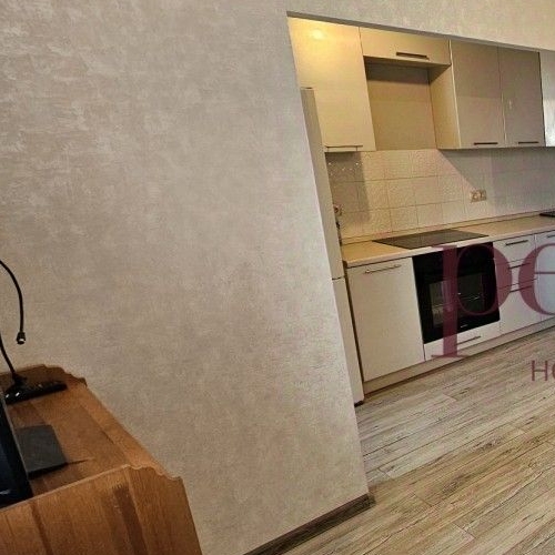 Студия д. Горки, улица Туровская, 5