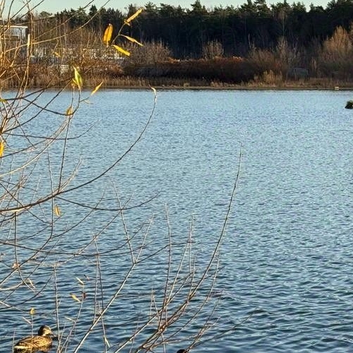 1-комн квартира Королев, улица Академика Легостаева, 8