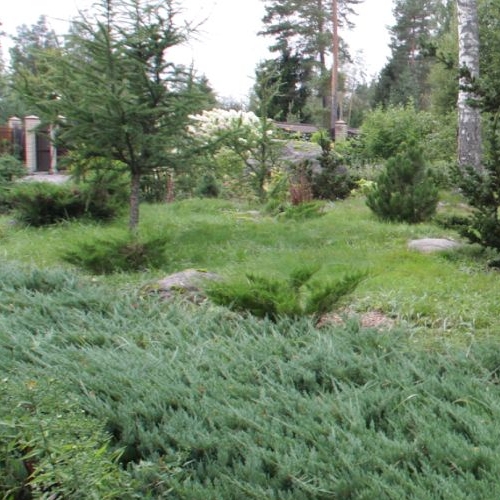 Коттедж/дом Гармония СНТ