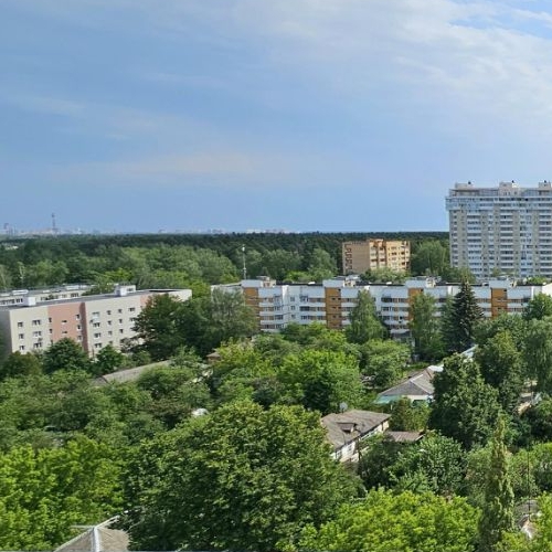 1-комн квартира Ивантеевка, Заводская улица,  д. 9А