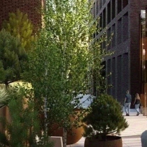 Студия Автомобильный проезд, 4