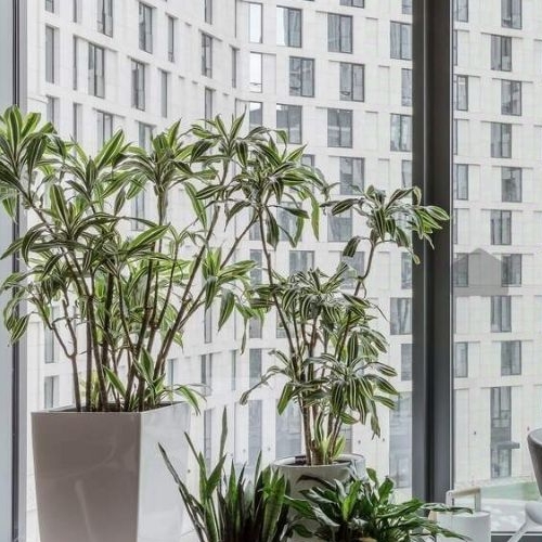 4-комн квартира Ленинградский проспект, 36с36