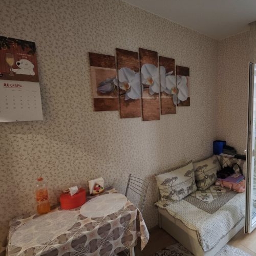 1-комн квартира Химки, улица Германа Титова, 3к1