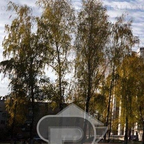 Студия Старая Купавна, улица Октябрьская, 14А