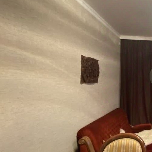 1-комн квартира Дмитров г, Трансформаторная ул,  д. 28