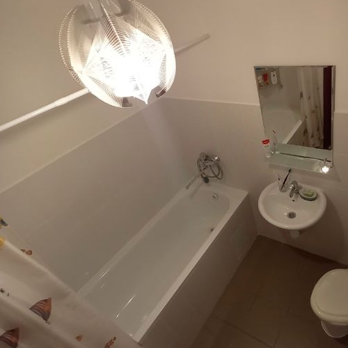 Студия д. Целеево, улица Пятиречье, 4А