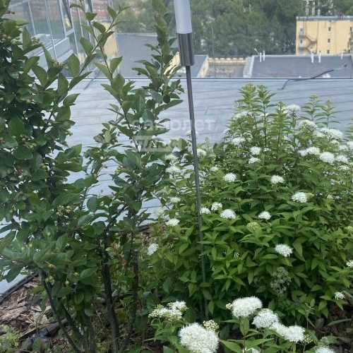 Студия улица Даниловский Вал, 1А