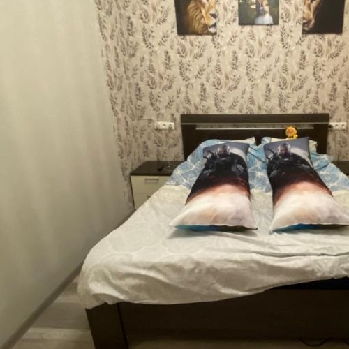 1-комн квартира Пушкино, проезд 1-й Некрасовский,  д. 9