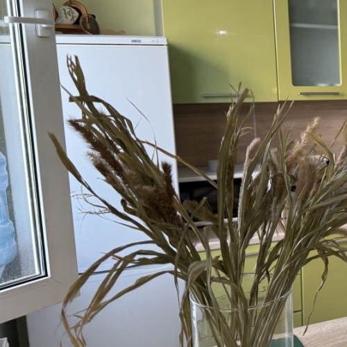 Студия Эдем ЖК, д. Гаврилково, улица 1-й Квартал,  д. 6