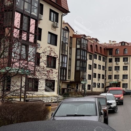 1-комн квартира с. Ромашково, улица Никольская, 2к3