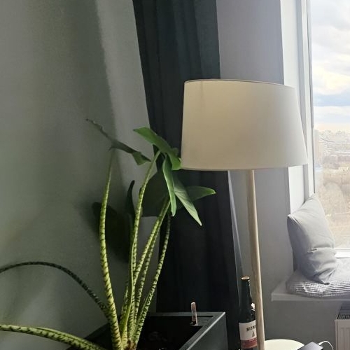 Студия улица 1-я Леонова, 18