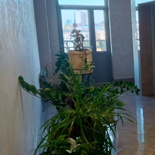 3-комн квартира Профсоюзная улица, 25К1