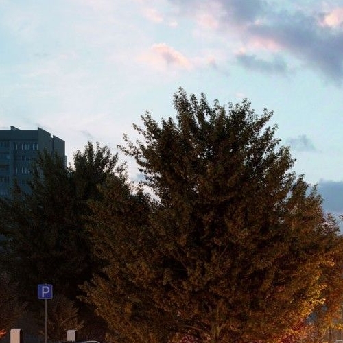 4-комн квартира Щукинская улица, 3