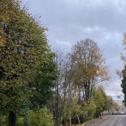 3-комн квартира Лотошино пгт, улица Парковая, 6