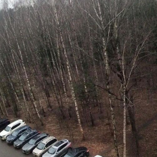 1-комн квартира Лобня, Окружная улица, 13