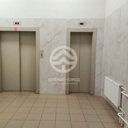 Студия деревня Голубое, Мелодия Леса, д. 8