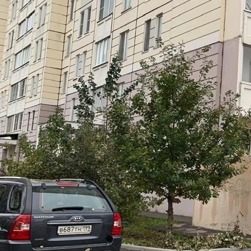 Студия Фестивальная улица, 30к2