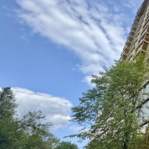 4-комн квартира Малая Филевская улица, 40к1