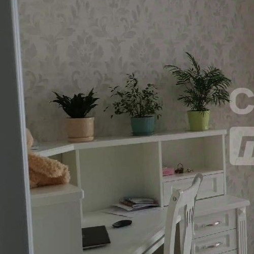 Студия д. Лобаново, улица Новая, 11