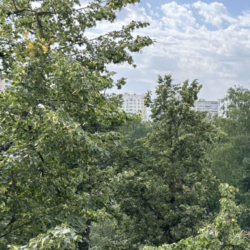 2-комн квартира Королев, Спартаковская улица, 11