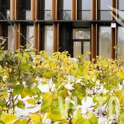 2-комн квартира Дружинниковская улица, 15