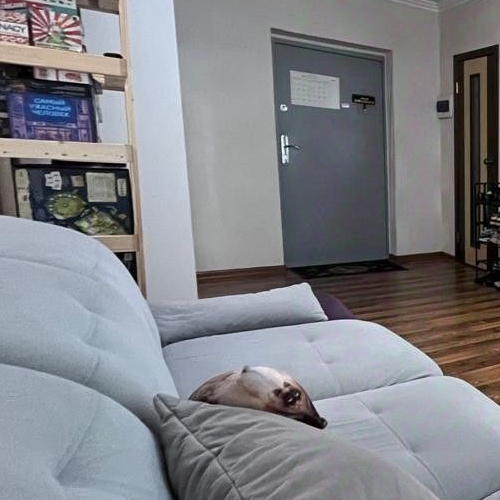 Студия д. Подолино, улица Дачная, 9