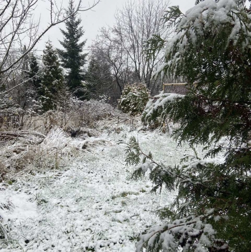 Коттедж/дом Вега тер. СНТ,