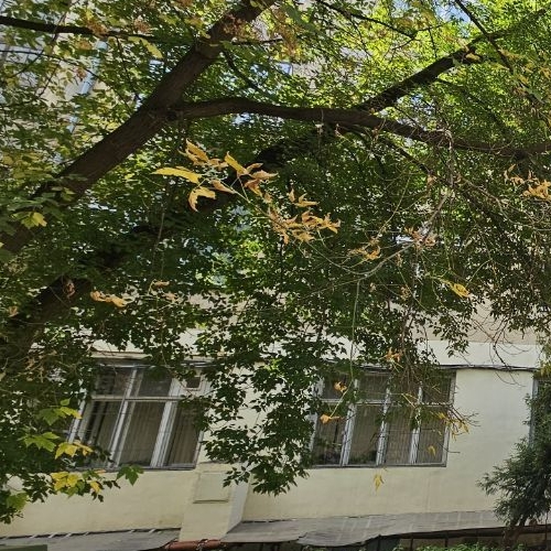 Студия улица 2-я Энтузиастов, 5к4