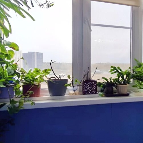 Студия Одинцово, улица Белорусская, 13