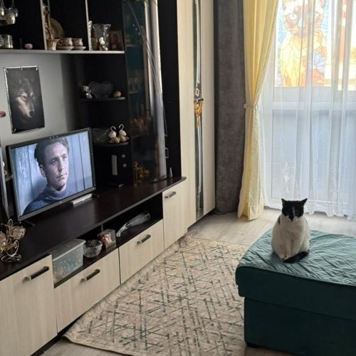 Студия Одинцово, Вокзальная улица, 15