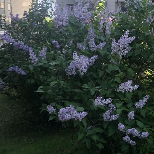 4-комн квартира Шмитовский проезд, 16С2