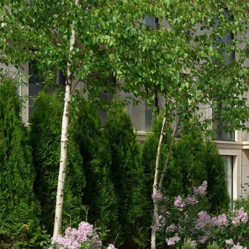 4-комн квартира Таманская улица, 1С3