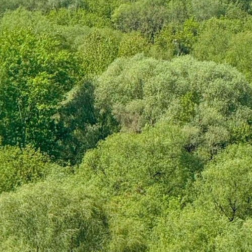 3-комн квартира улица Петра Алексеева, 14