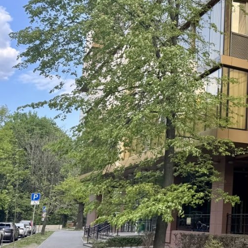 4-комн квартира Малая Филевская улица, 40к1