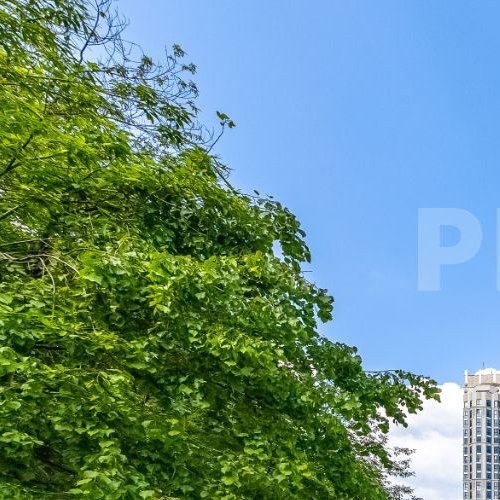 2-комн квартира Нежинская улица, 5Б