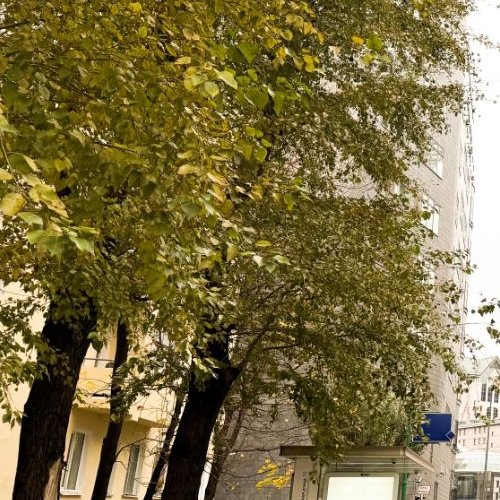 Студия Садовническая улица, 77С2