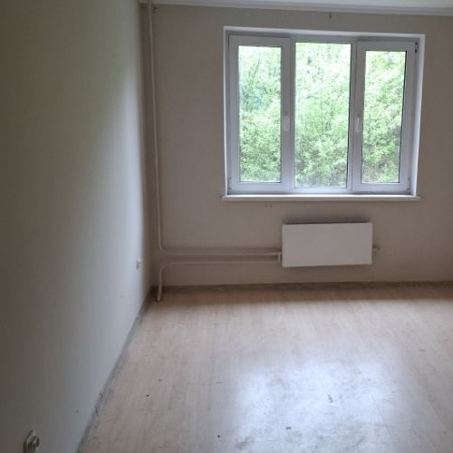 1-комн квартира Марусино пгт, улица Заречная, 37к5