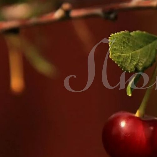 2-комн квартира Мосфильмовская улица, 1А