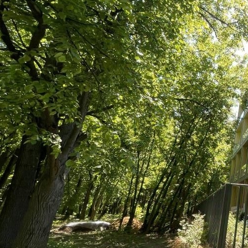 3-комн квартира проезд Досфлота, 12