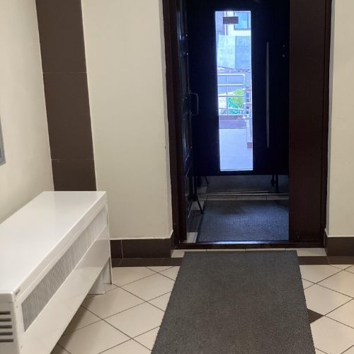 1-комн квартира с. Ромашково, улица Никольская, 4к3