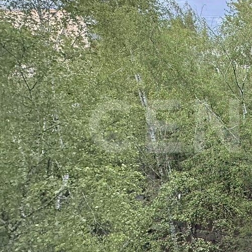 Студия Аминьевское шоссе, 11