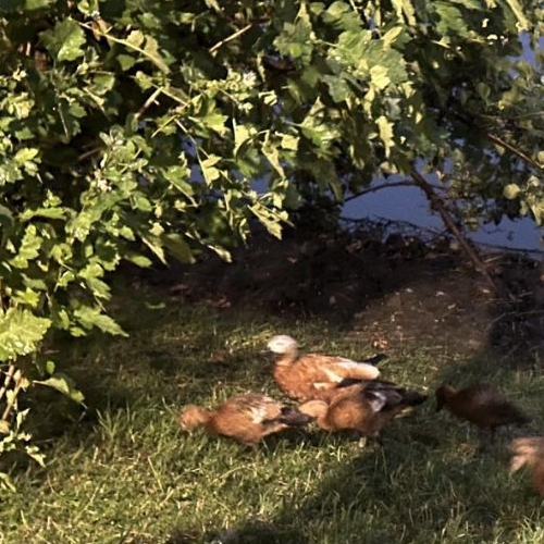 4-комн квартира Шмитовский проезд, 16С2